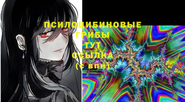 мяу мяу мука Аркадак