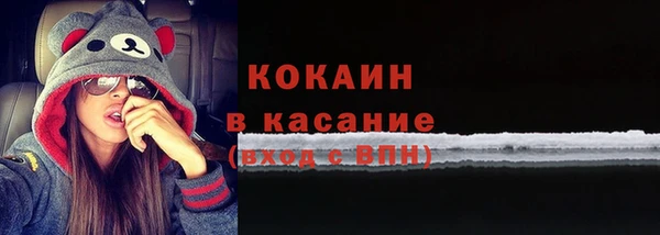 мяу мяу мука Аркадак