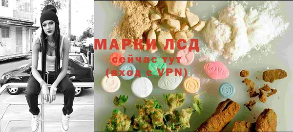 СК Арсеньев