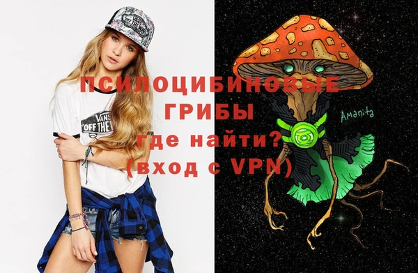 СК Арсеньев